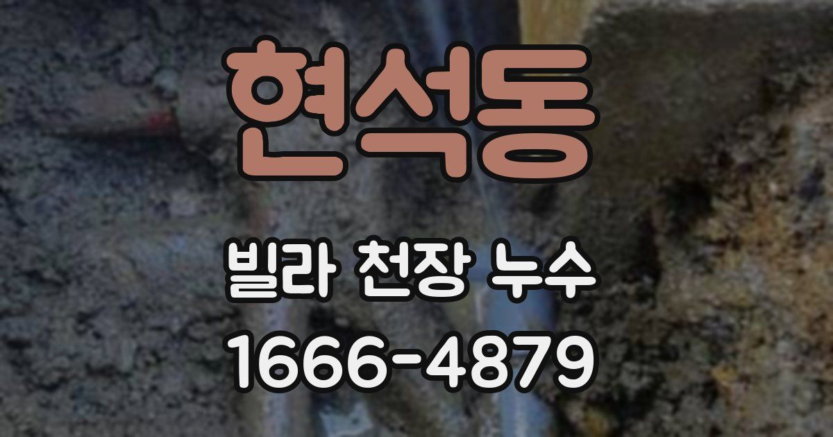 현석동 빌라 천장 누수