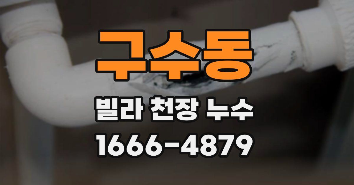 구수동 빌라 천장 누수