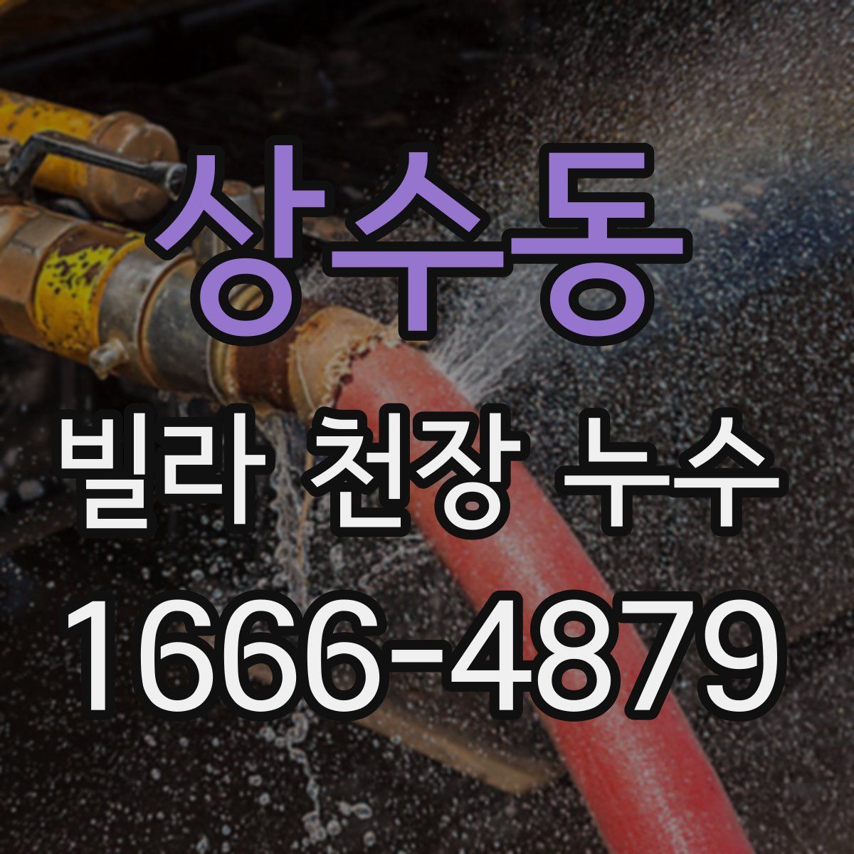 상수동 빌라 천장 누수