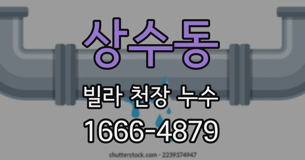 상수동 빌라 천장 누수