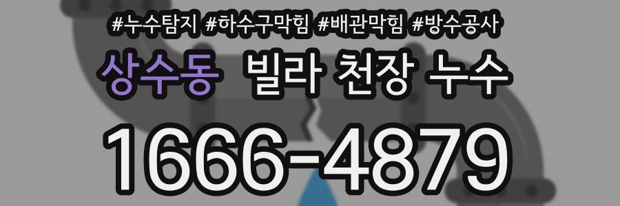 상수동 빌라 천장 누수