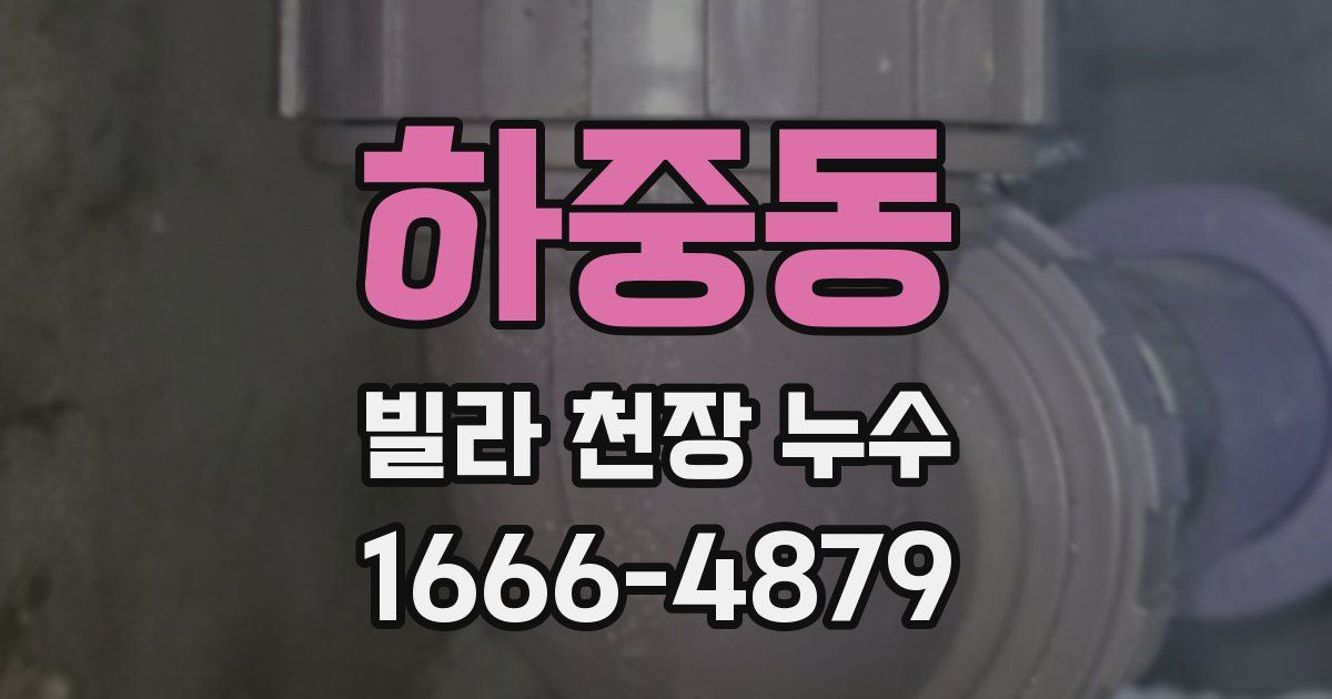 하중동 빌라 천장 누수