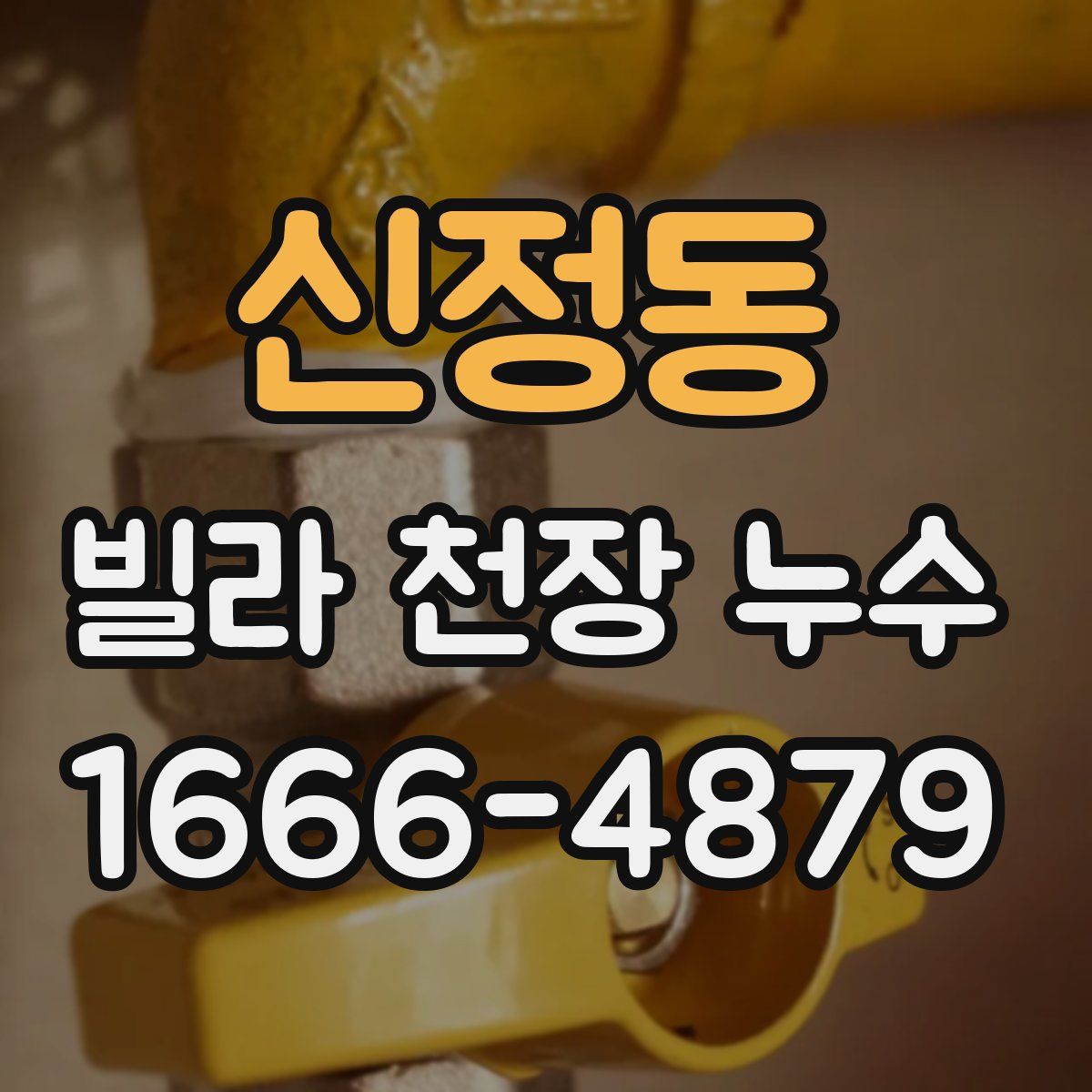 신정동 빌라 천장 누수