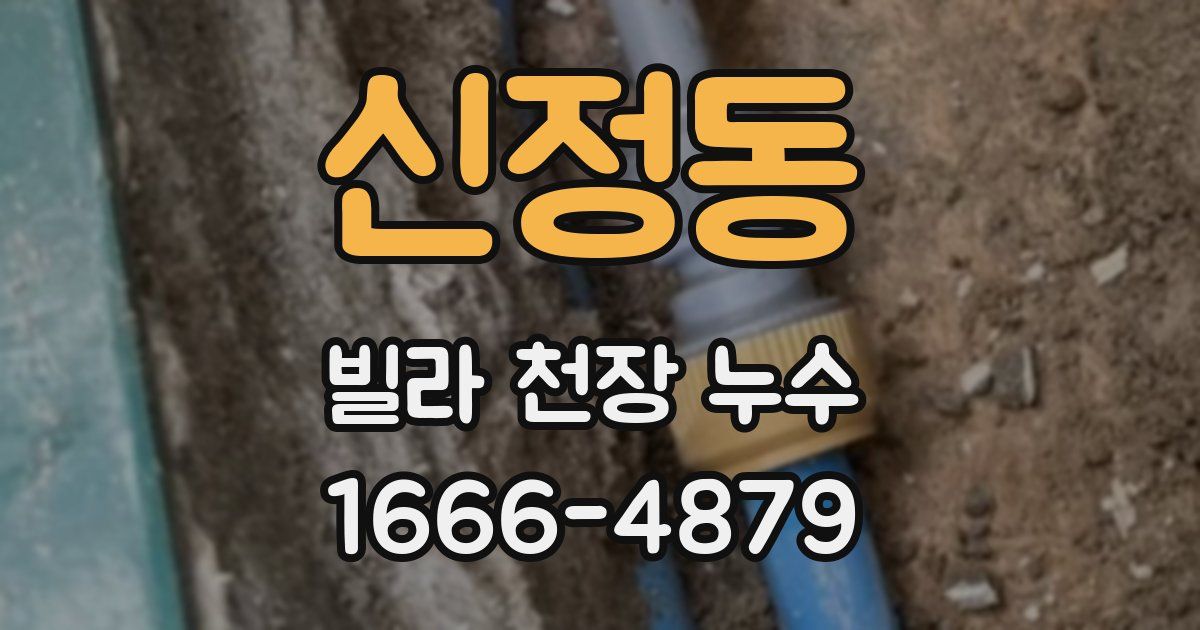 신정동 빌라 천장 누수