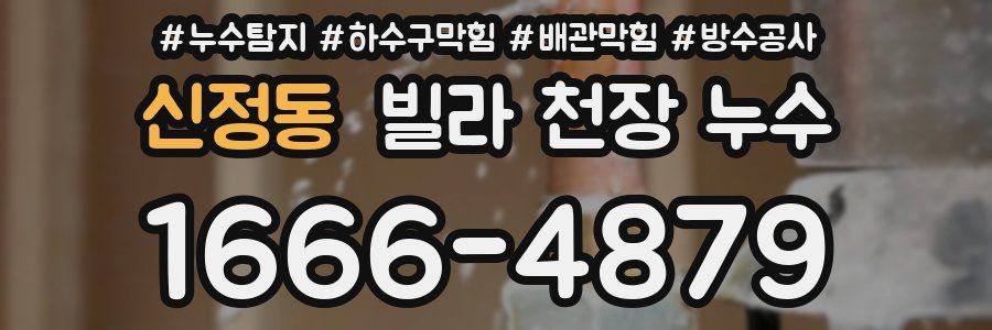 신정동 빌라 천장 누수
