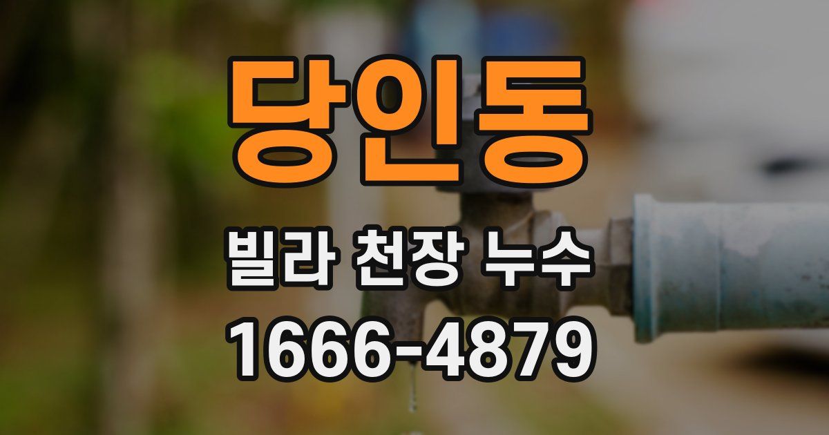당인동 빌라 천장 누수