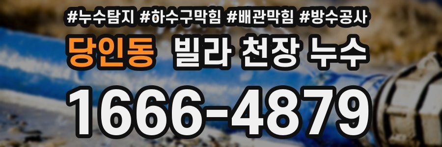 당인동 빌라 천장 누수