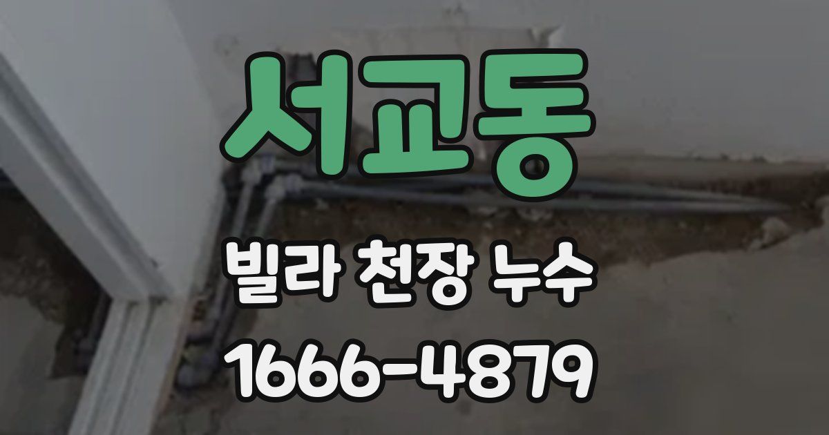서교동 빌라 천장 누수