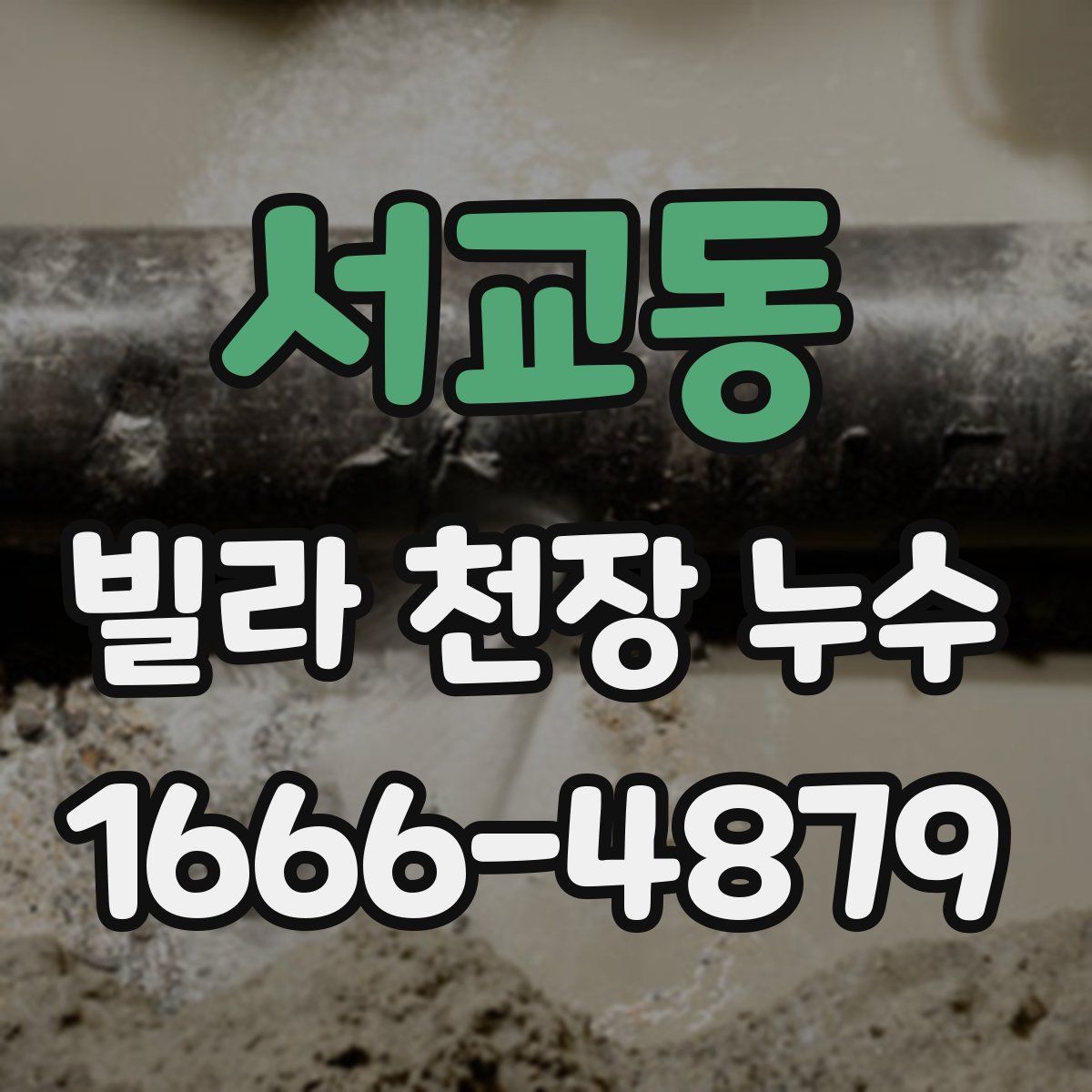 서교동 빌라 천장 누수