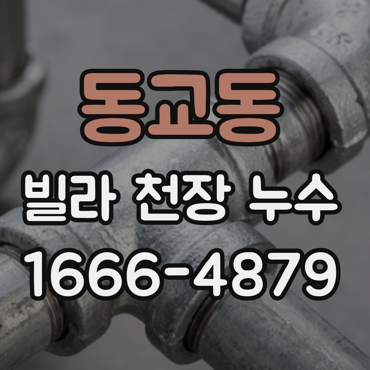 동교동 빌라 천장 누수