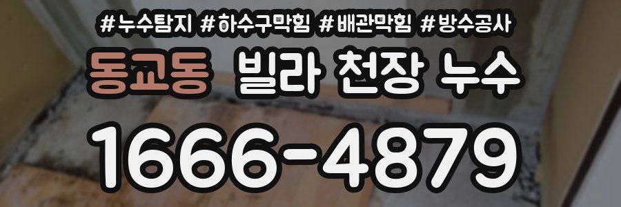 동교동 빌라 천장 누수