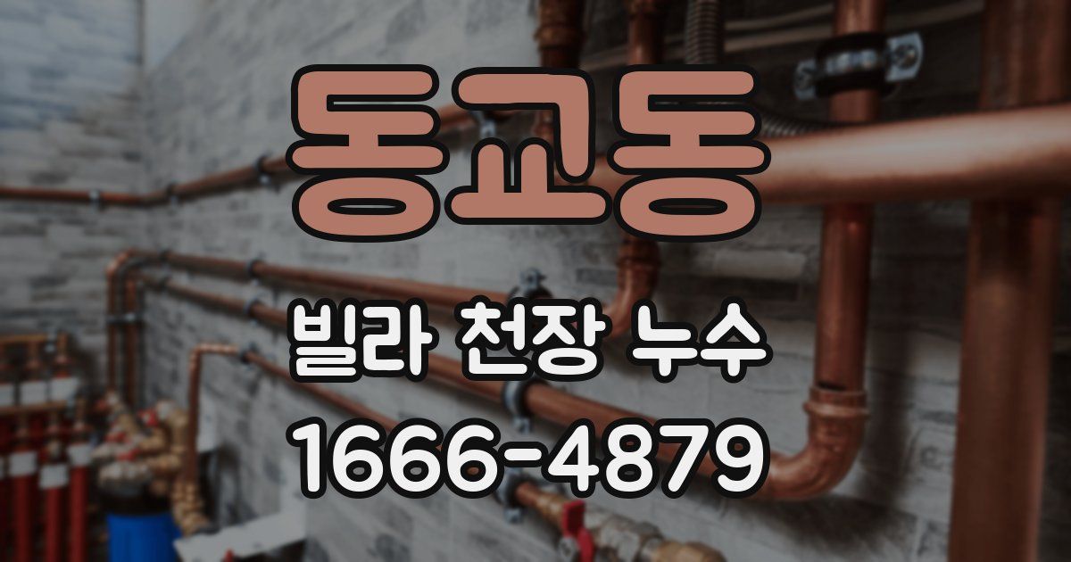 동교동 빌라 천장 누수