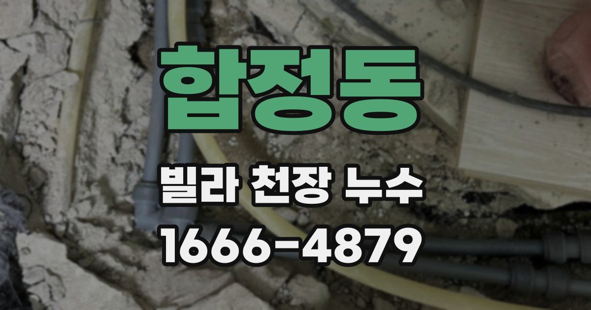 합정동 빌라 천장 누수