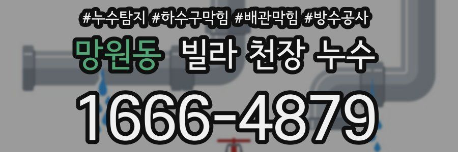 망원동 빌라 천장 누수