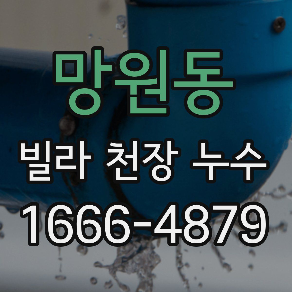 망원동 빌라 천장 누수