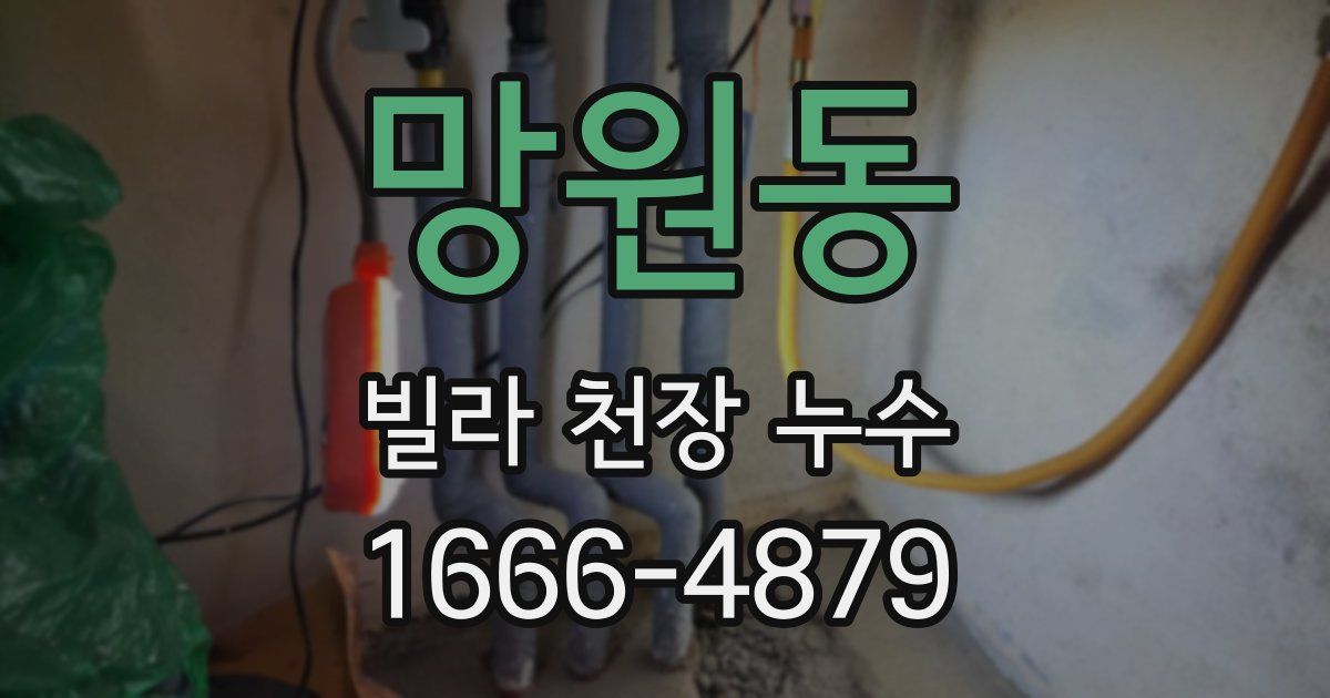 망원동 빌라 천장 누수
