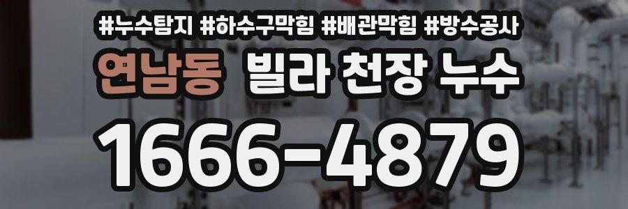 연남동 빌라 천장 누수
