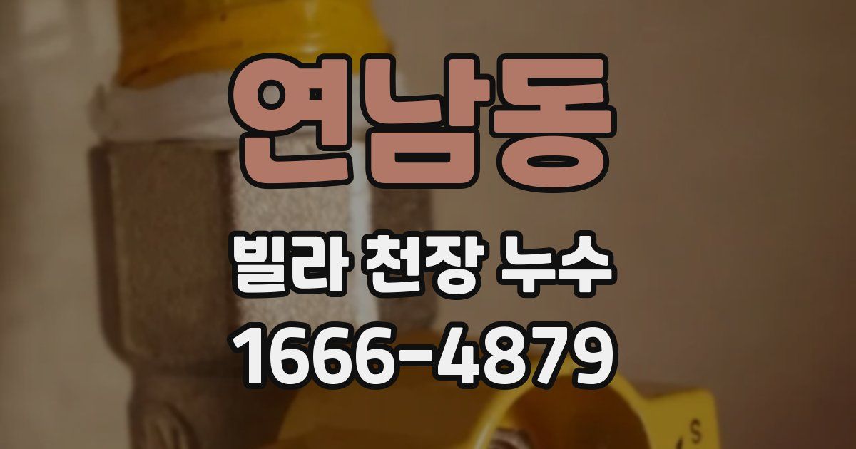 연남동 빌라 천장 누수