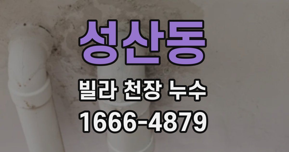 성산동 빌라 천장 누수