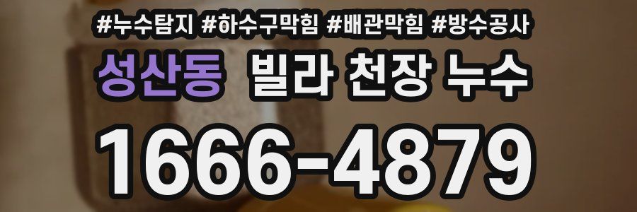 성산동 빌라 천장 누수