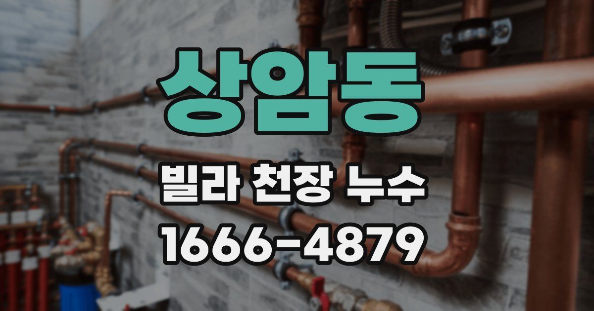 상암동 빌라 천장 누수