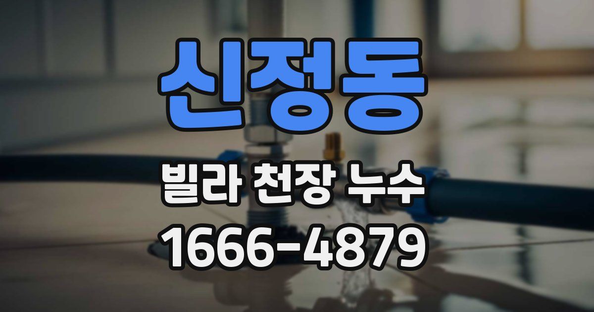 신정동 빌라 천장 누수