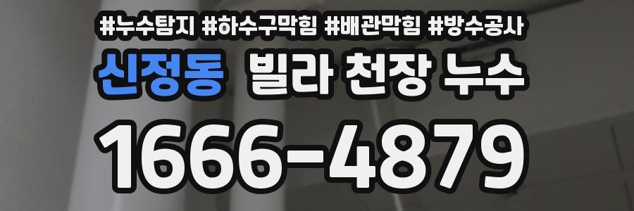 신정동 빌라 천장 누수