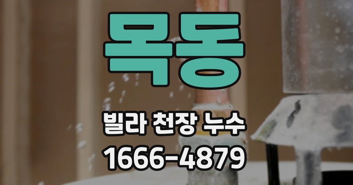 목동 빌라 천장 누수