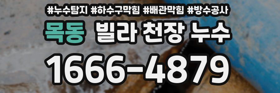 목동 빌라 천장 누수