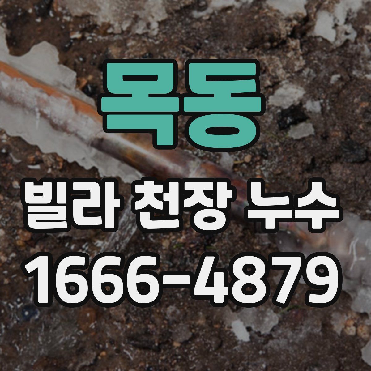 목동 빌라 천장 누수