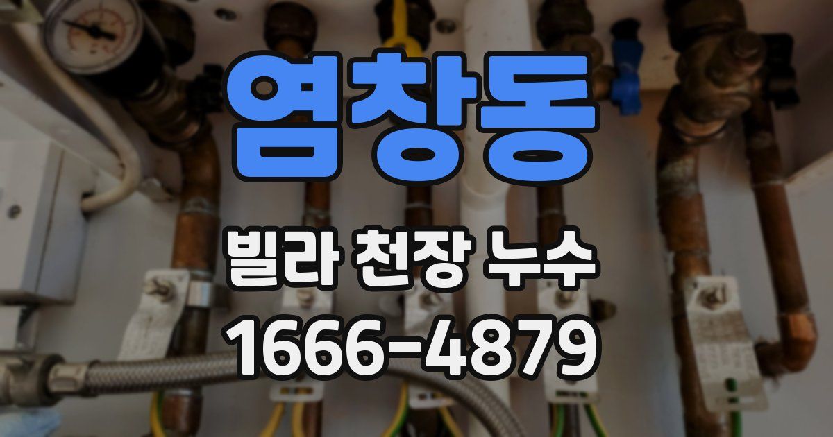 염창동 빌라 천장 누수
