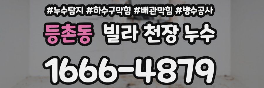 등촌동 빌라 천장 누수