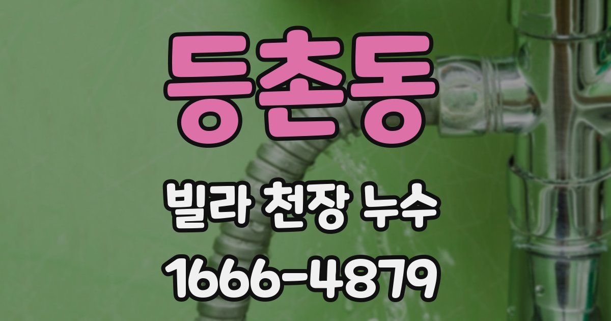 등촌동 빌라 천장 누수