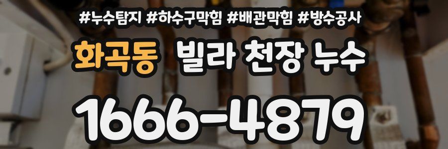 화곡동 빌라 천장 누수