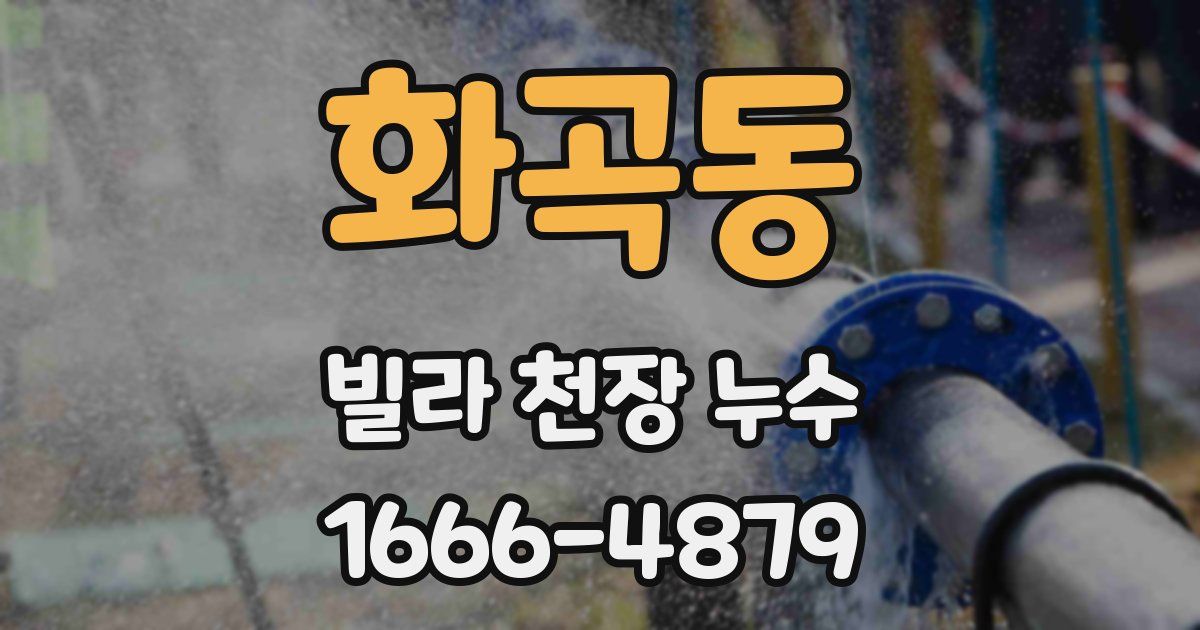 화곡동 빌라 천장 누수