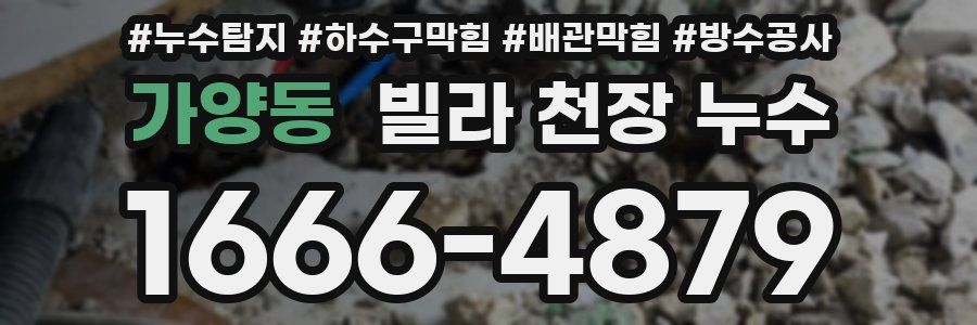 가양동 빌라 천장 누수