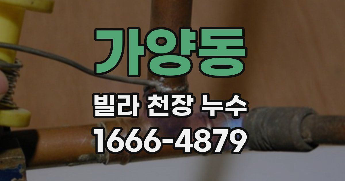 가양동 빌라 천장 누수