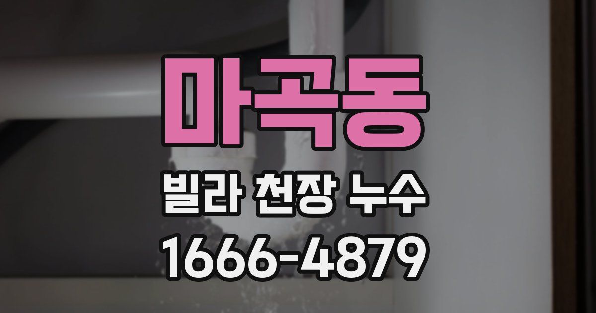 마곡동 빌라 천장 누수