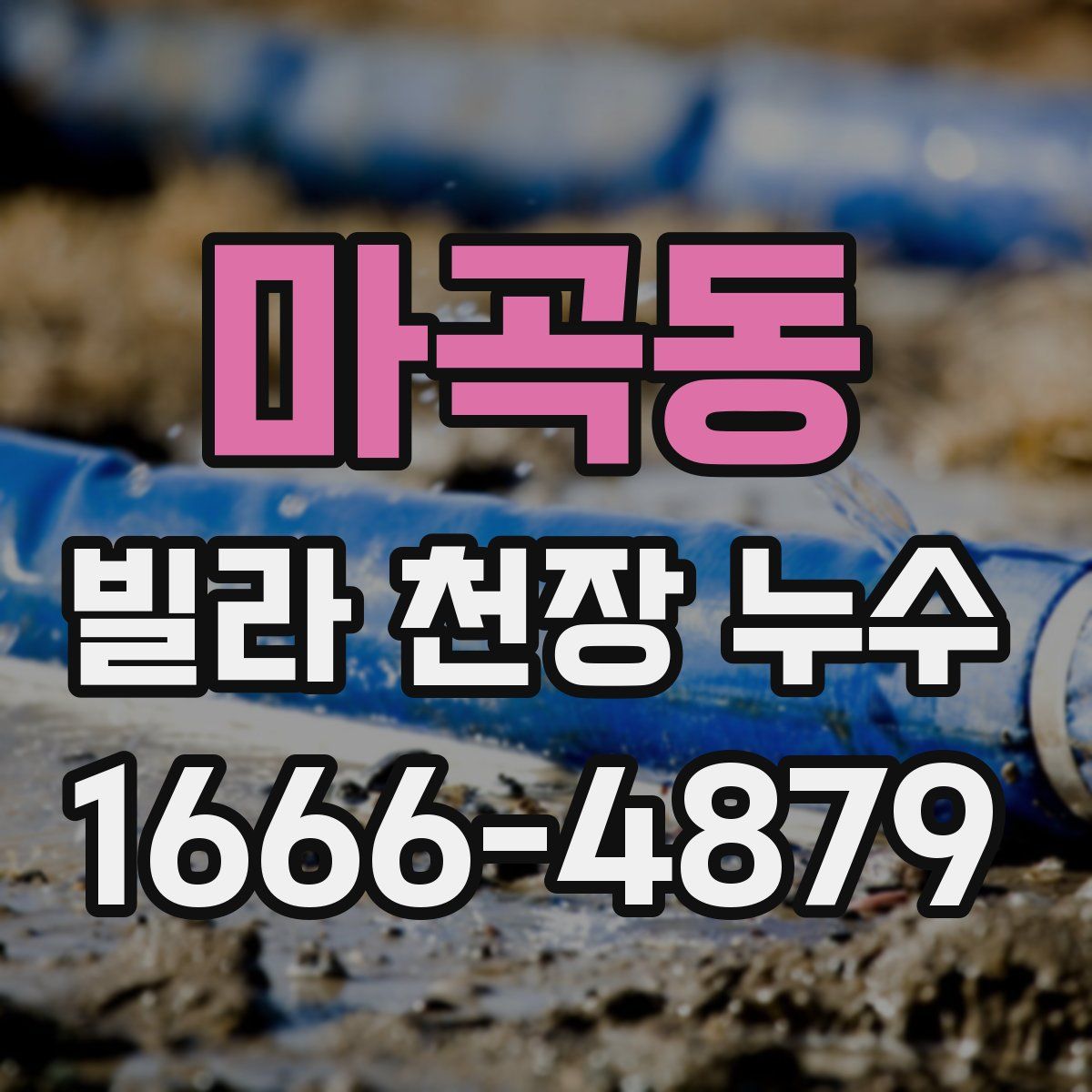 마곡동 빌라 천장 누수