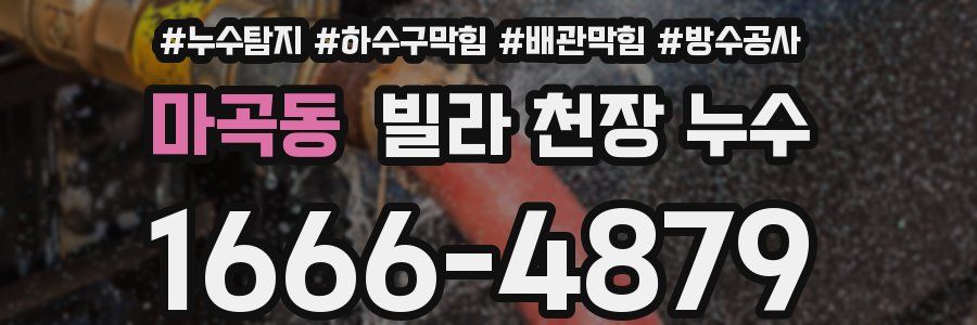 마곡동 빌라 천장 누수