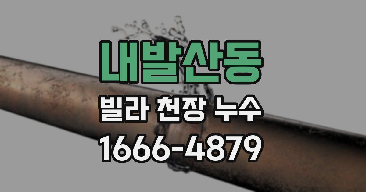 내발산동 빌라 천장 누수