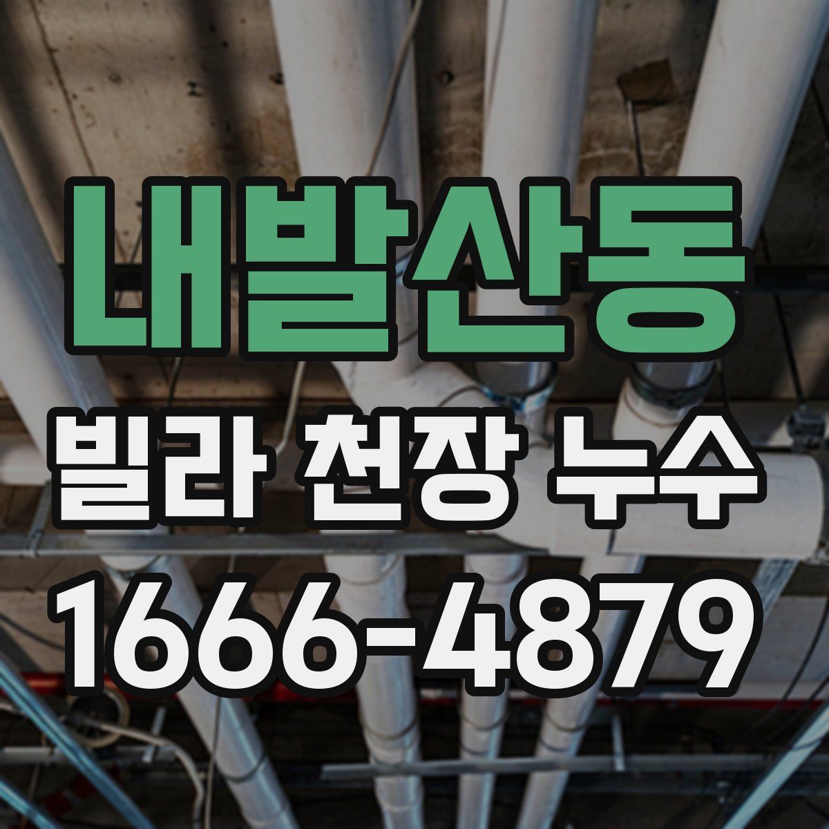 내발산동 빌라 천장 누수