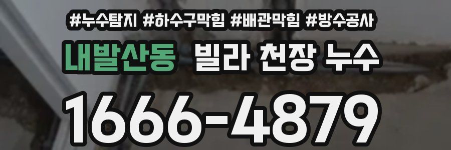 내발산동 빌라 천장 누수