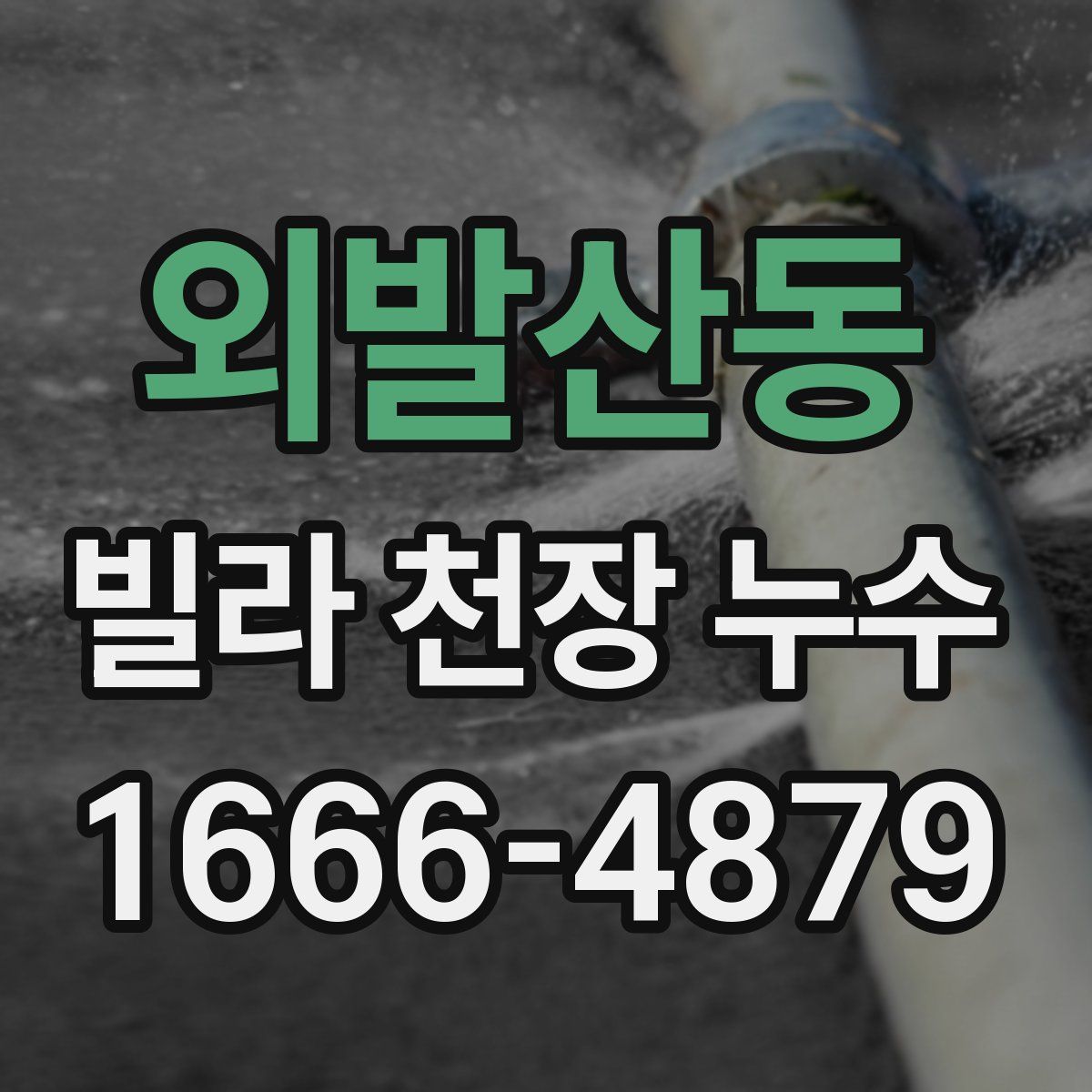 외발산동 빌라 천장 누수