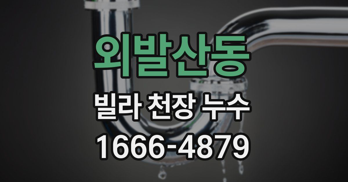 외발산동 빌라 천장 누수