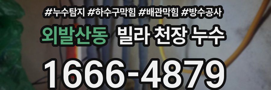 외발산동 빌라 천장 누수