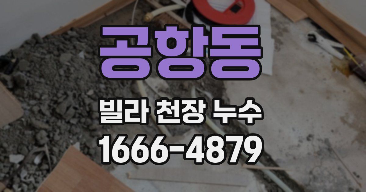 공항동 빌라 천장 누수