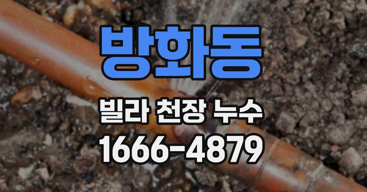 방화동 빌라 천장 누수