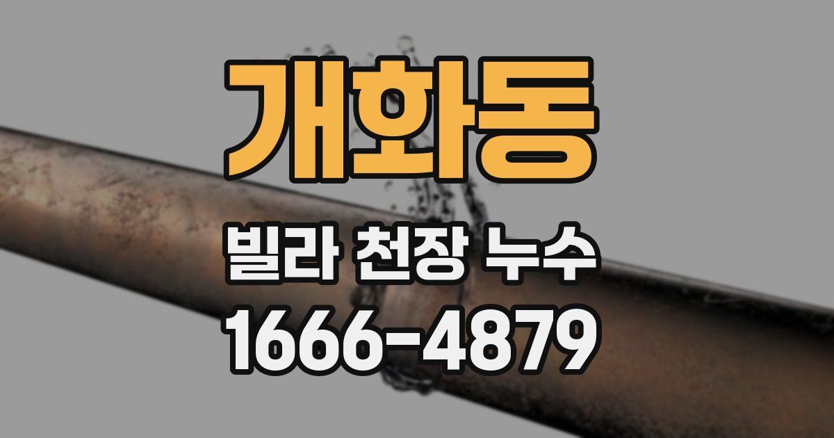 개화동 빌라 천장 누수