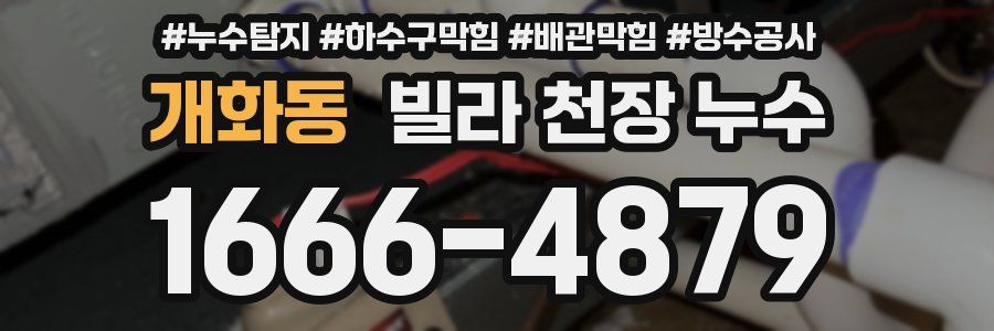 개화동 빌라 천장 누수
